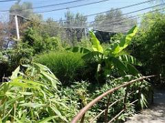 101PARC AUX OISEAUX DANS L AIN 2016 2_000029